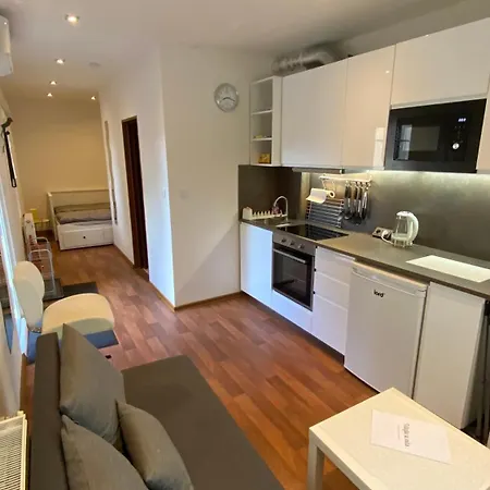 Garden House On The Vltava Riverbank 15 Min To Prague アパート クラルピ・ナト・ヴルタヴォウ